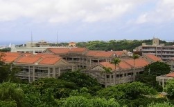 沖縄県立芸術大学基本設計